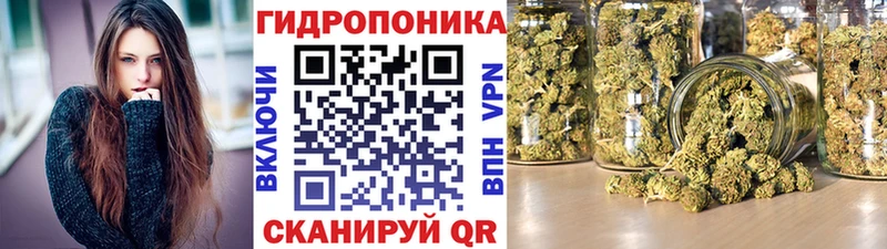 Купить где  Бугуруслан  Конопля White Widow 